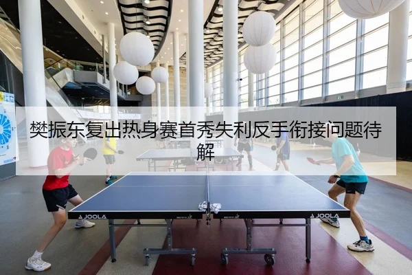 樊振东复出热身赛首秀失利反手衔接问题待解